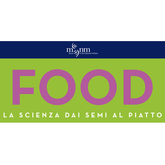 food-logo-colored